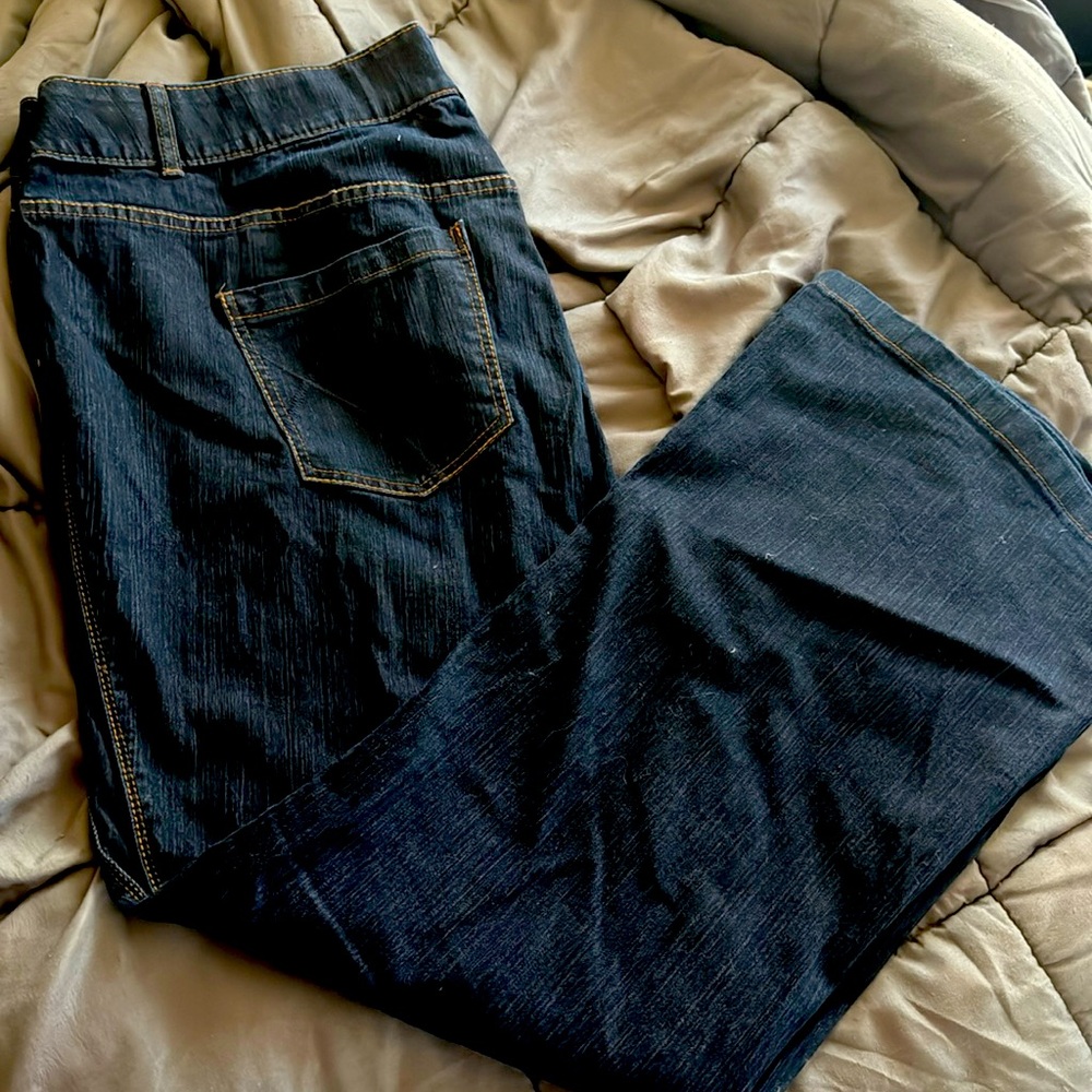 Lane Bryant Flare Jeans